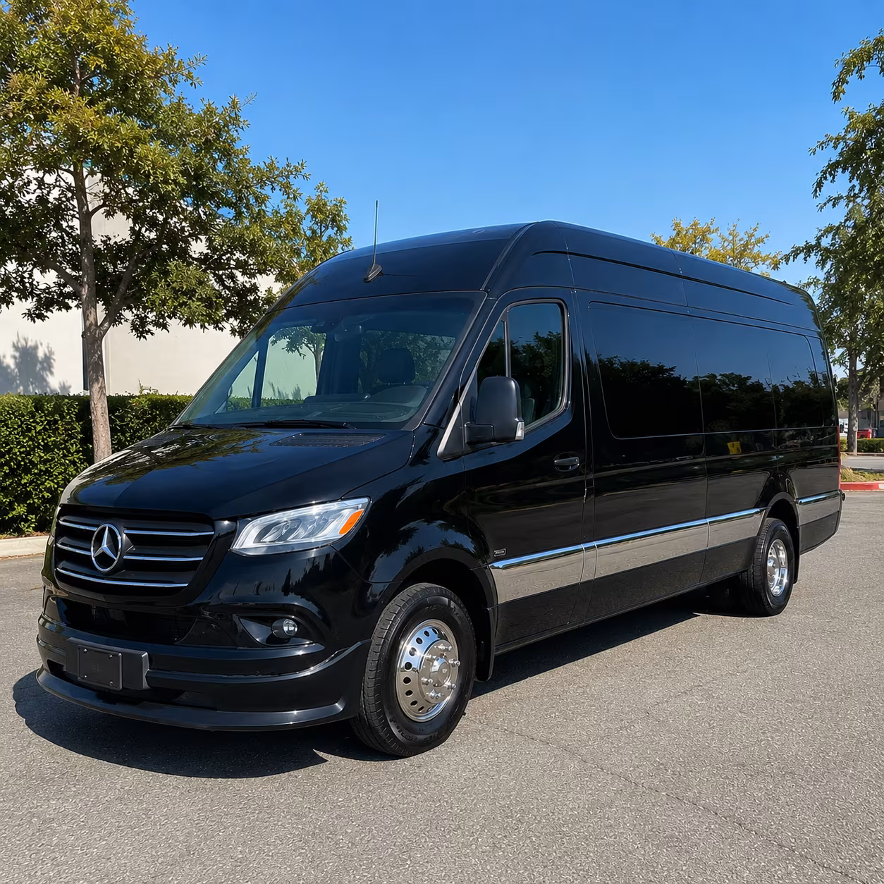 paterson streamlined wedding transportation in paterson